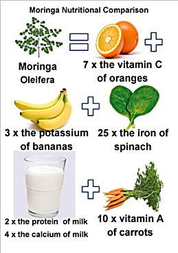 What are the medicinal benefits of moringa?